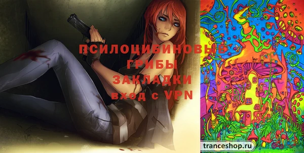 ALPHA-PVP Няндома