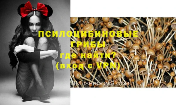 а пвп мука Нягань