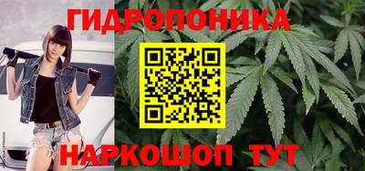 кокс Кандалакша