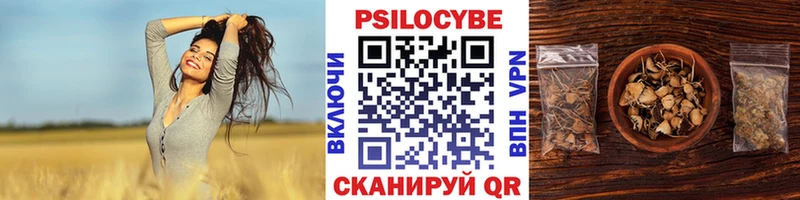 Галлюциногенные грибы Psilocybe  сколько стоит  Хабаровск 