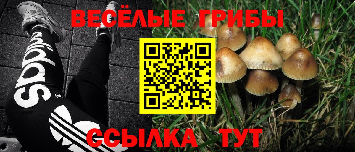 Хабаровск  Галлюциногенные грибы мухоморы  как найти закладки  Вход с VPN 